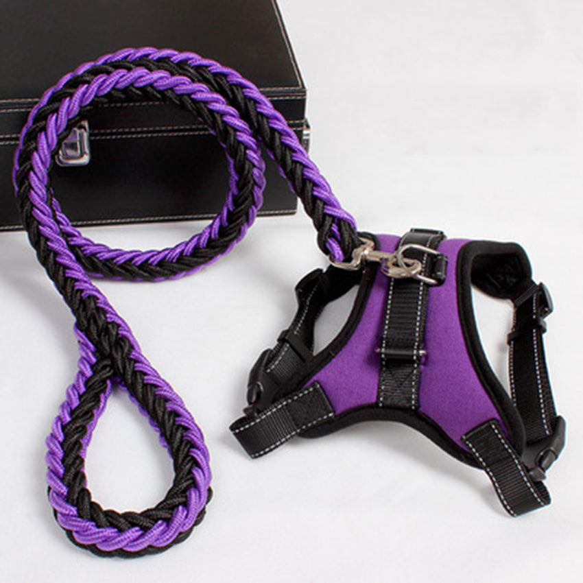 PawSecure Harness & Leash Set
