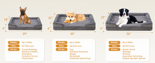 ChewGuard Orthopedic Pet Bed