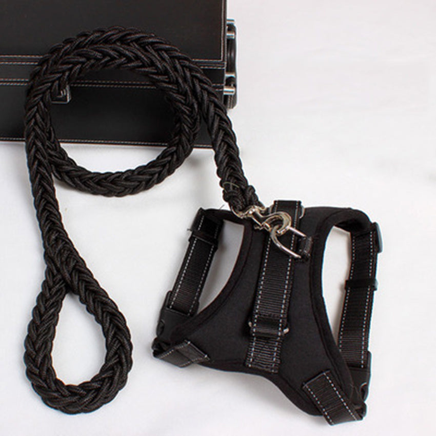 PawSecure Harness & Leash Set