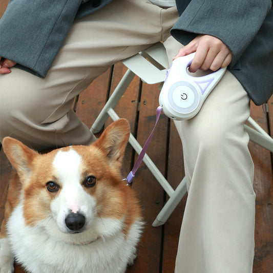 BrightPaws Retractable Leash with Light
