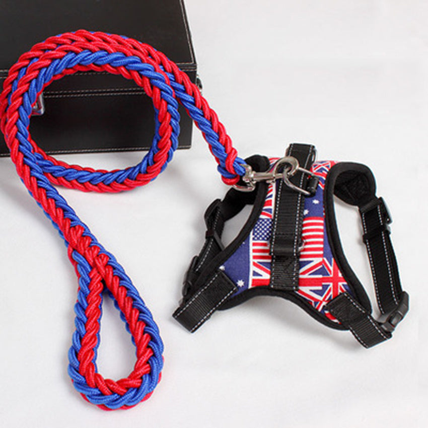 PawSecure Harness & Leash Set