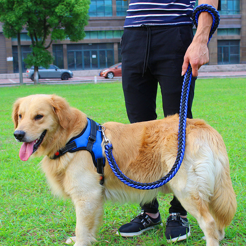 PawSecure Harness & Leash Set