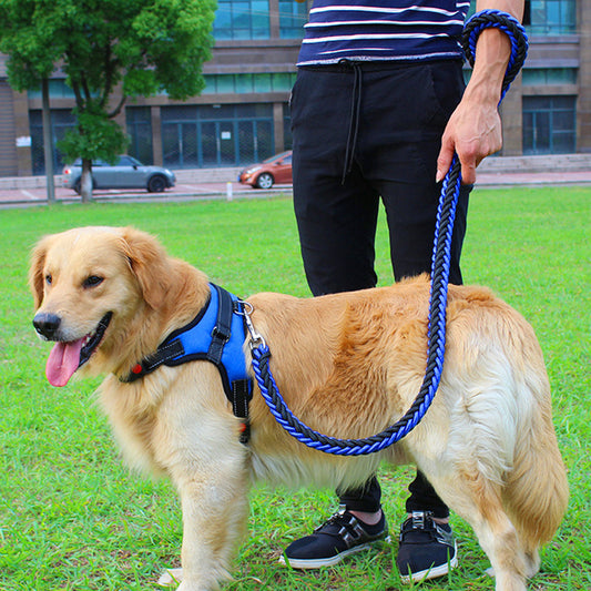 PawSecure Harness & Leash Set