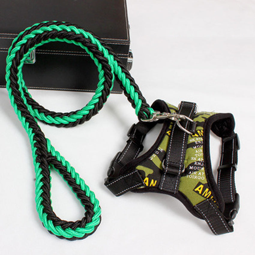 PawSecure Harness & Leash Set