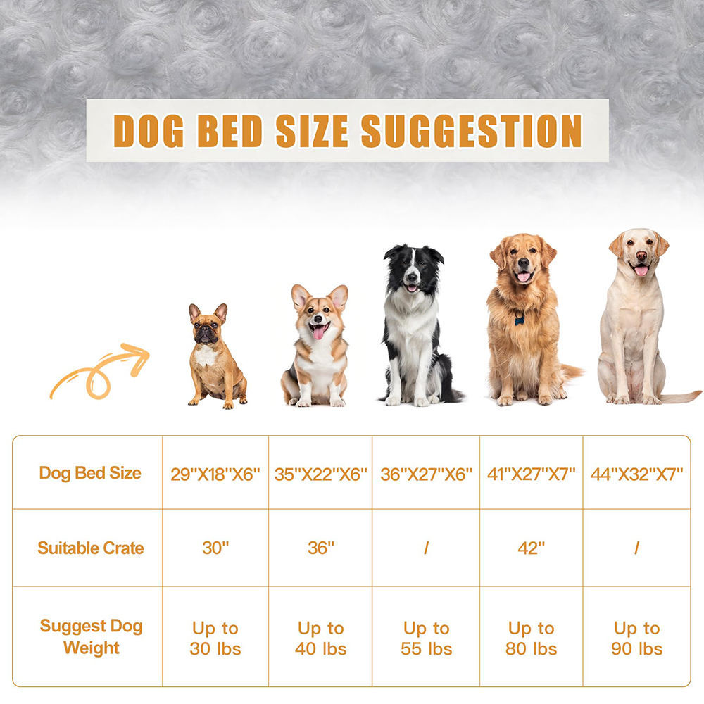 ChewGuard Orthopedic Pet Bed