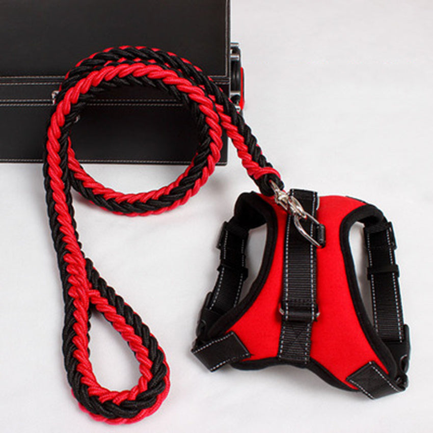 PawSecure Harness & Leash Set