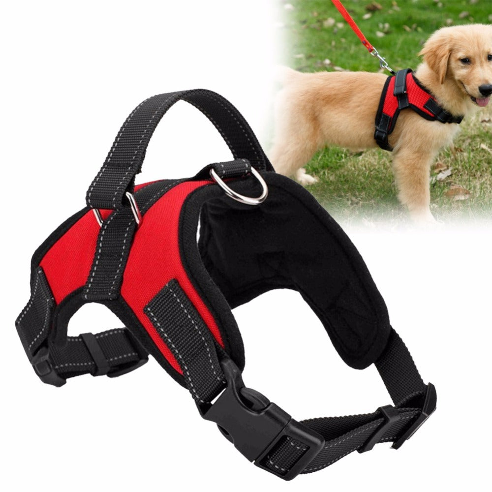 Adjustable Dog Premium Harness